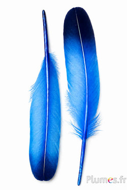 Schwan Seide - 25-30 cm - türkis-nachtblau 